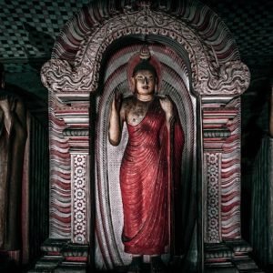 agnieszka-stankiewicz-kiU3ELLWmMk-unsplash