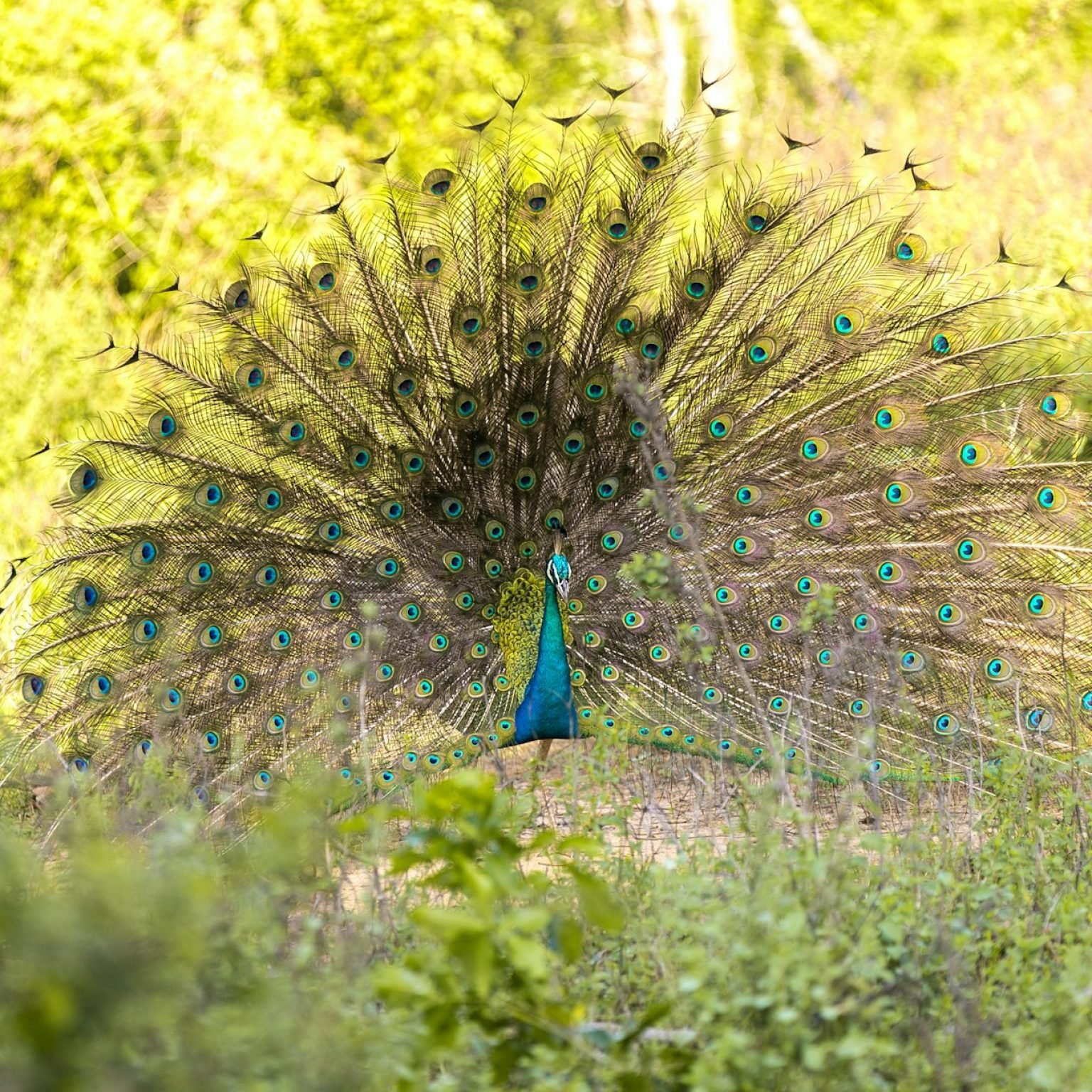 egle-sidaraviciute-wG3iUjMHIFE-unsplash