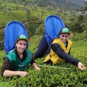 pexels-sanjeewa-jayarathne-419863937-23506598