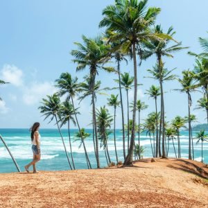 sebastian-latorre-VqPOeYqzK-M-unsplash